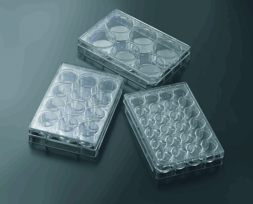 3D Cell culture plates CellSCAFLD®, treated, PS, sterile | No. of wells: 6