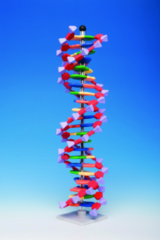 Molekülbaukastensystem miniDNA® / RNA Kits | Typ: RNA Kit