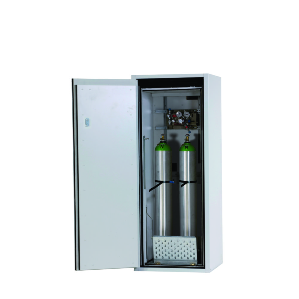Fire Resistant Gas Cylinder Cabinets G90 Series | Description: for two 50 litre bottles, with F90 glass-fronted wing door