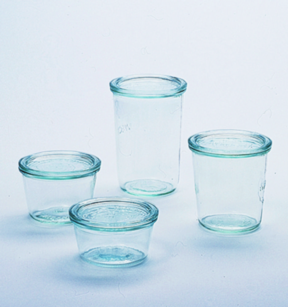 Culture dishes, glass | Type: Culture dishes size 3