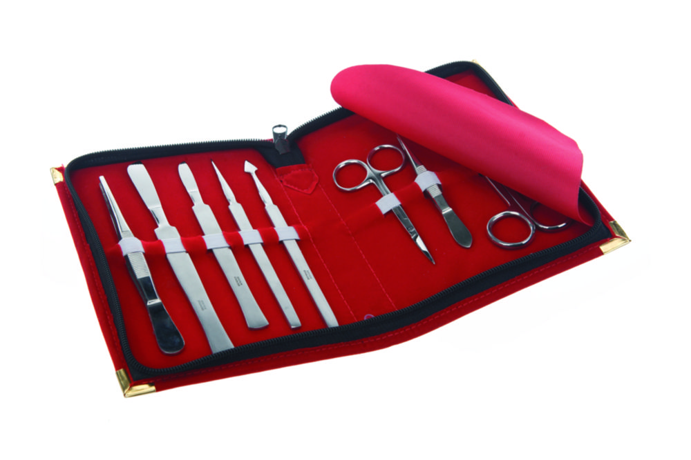 Dissecting Set, 8 pieces, stainless steel | Description: Dissecting set, 8 pieces