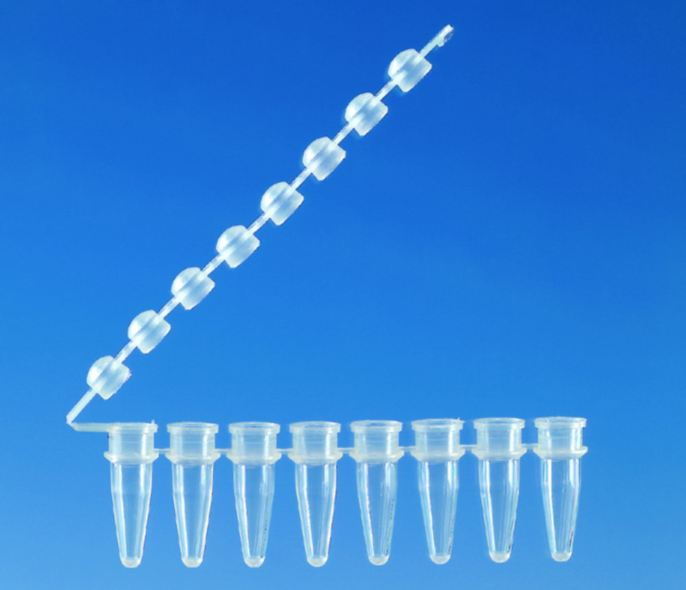 Strips of 8 PCR tubes with attached cap strips | Type: Colourless