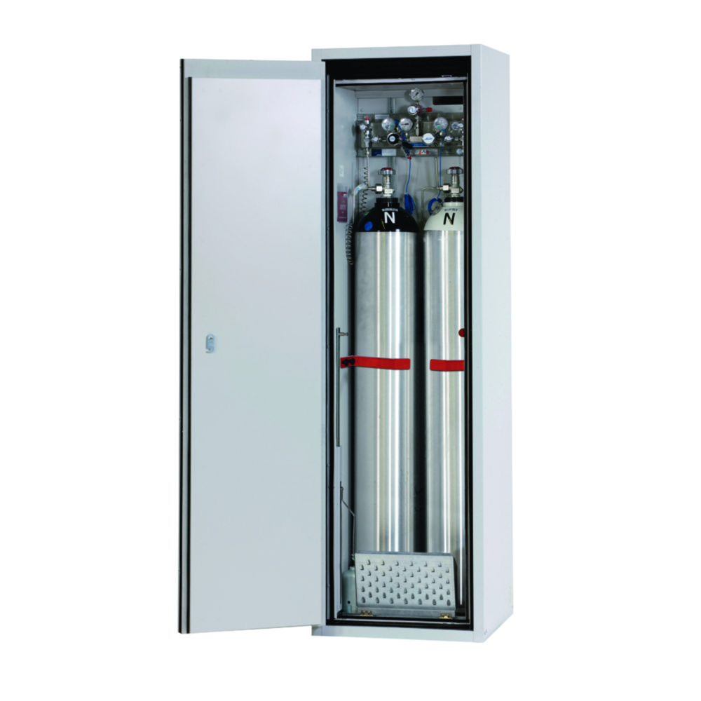 Fire Resistant Gas Cylinder Cabinets G90 Series | Description: for two 50 litre bottles, with F90 glass-fronted wing door