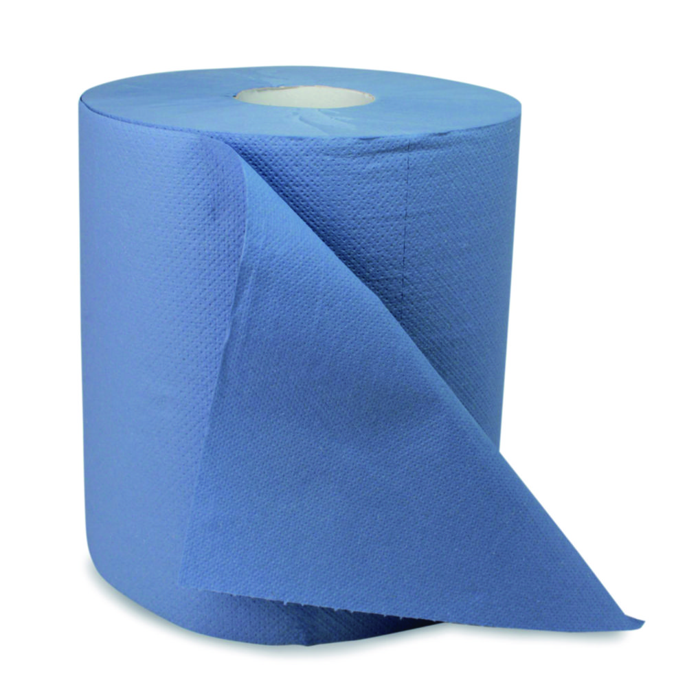 Einweg-Handtuchrollen | Beschreibung: blau, 2-lagig