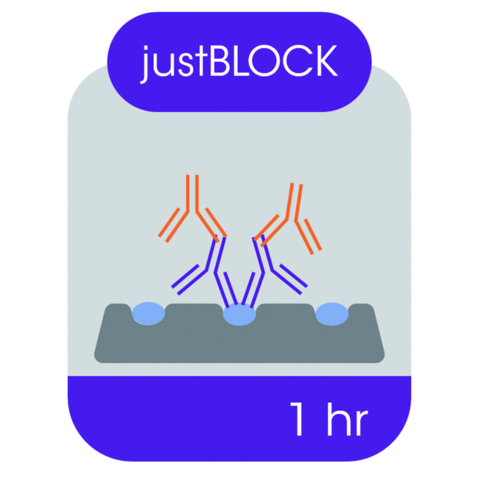 Blockierlösung für Western Blot | Typ: JUSTBLOCK, 500 ml