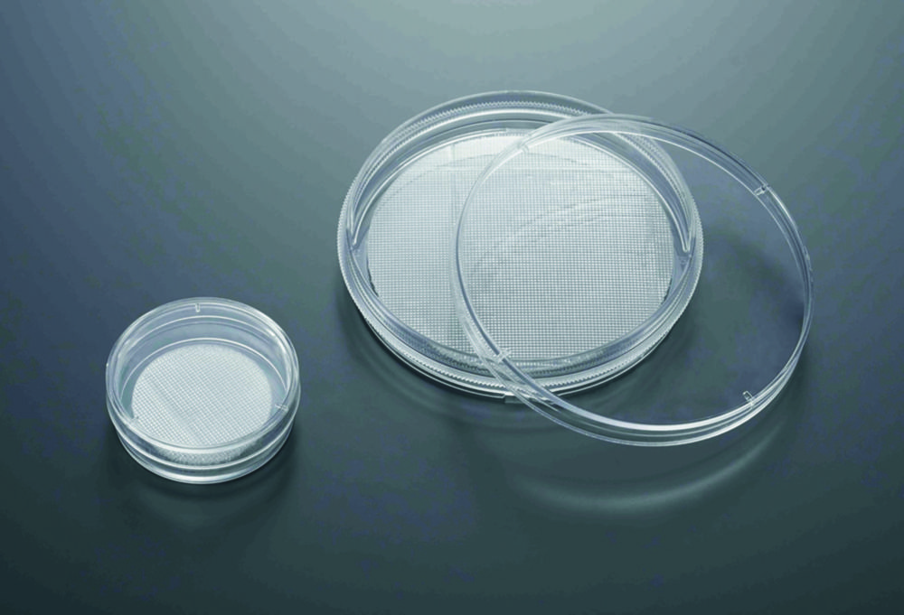 3D Cell culture dishes CellSCAFLD®, treated, PS, sterile