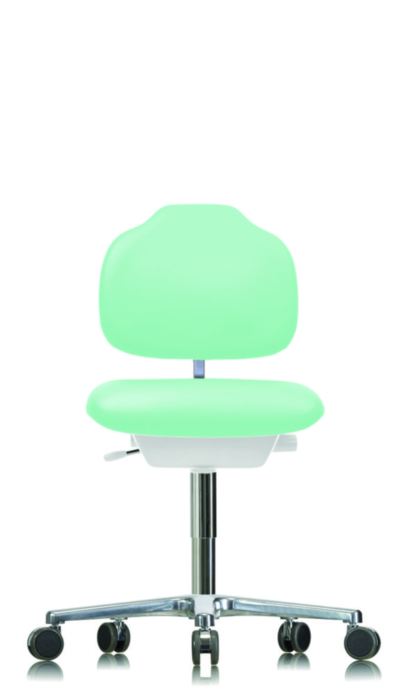 Laboratory Seating Furniture, GMP | Type: Klimastar, with armrests