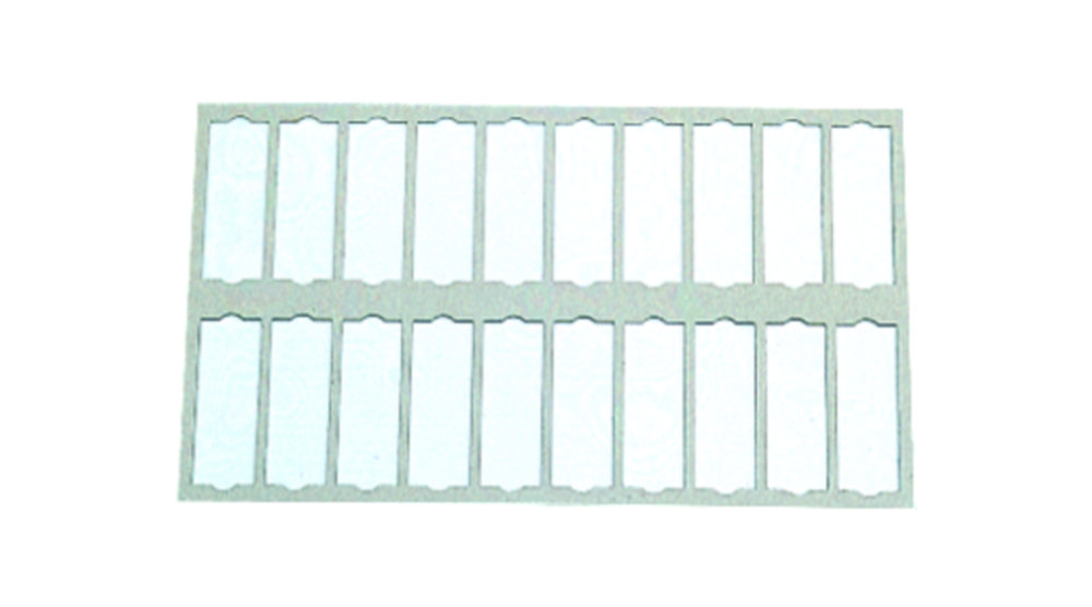 Microscope slide tray without lid | No. of slides: 20