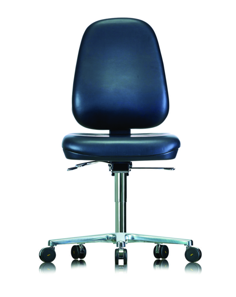 ESD clean room chair | Type: WS 1720 RR ESD